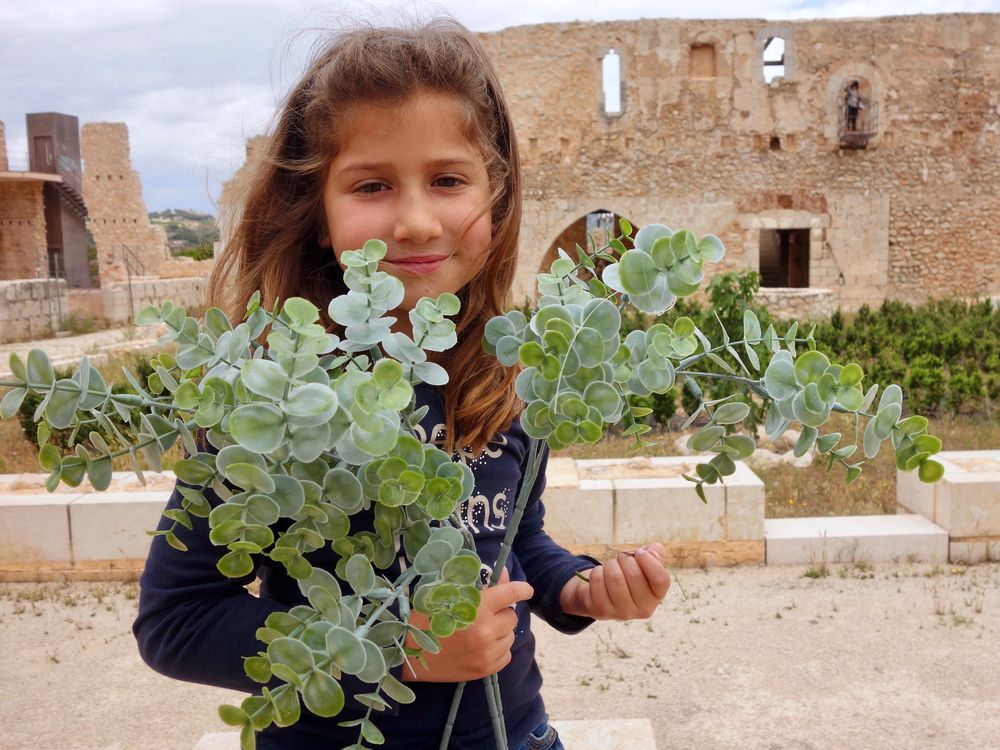 Reina de las flores