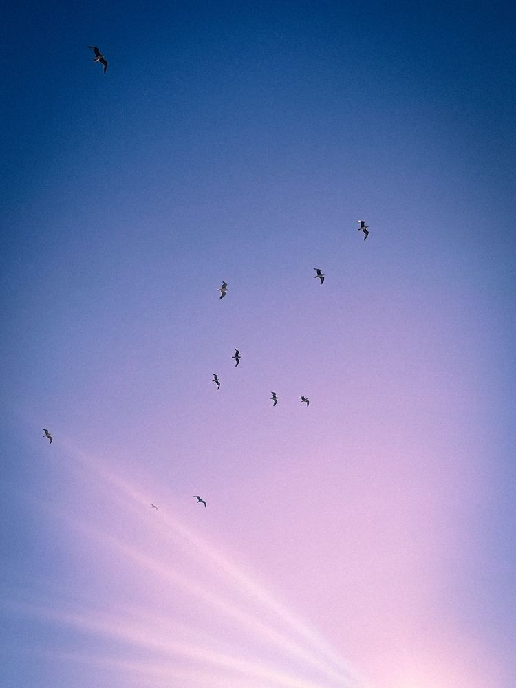 Photograph by Наталья Самород