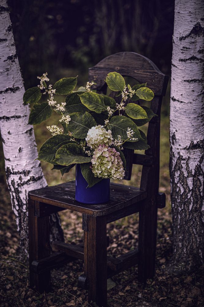 Photograph by Оksana Seregina