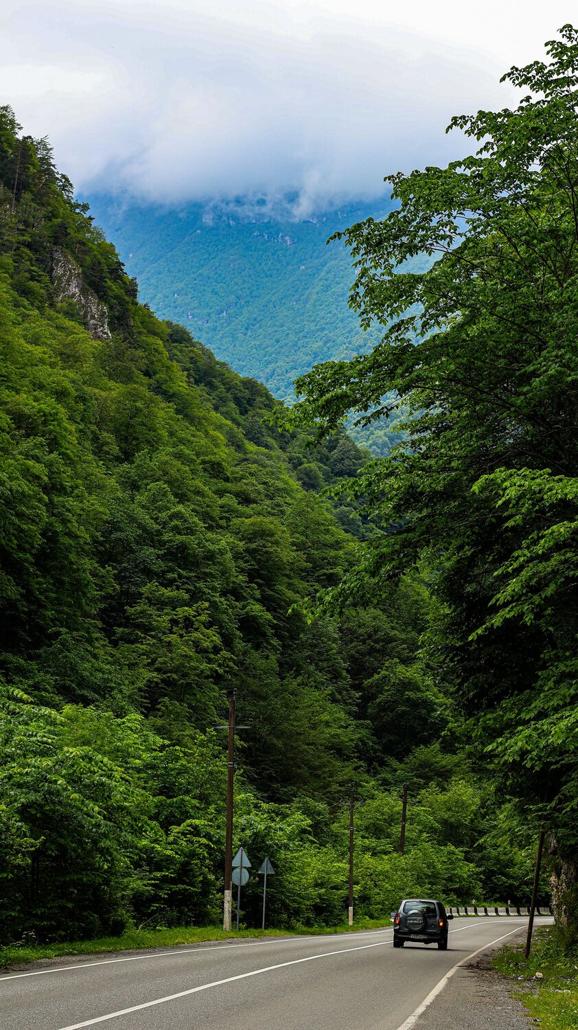 Photo #13725417