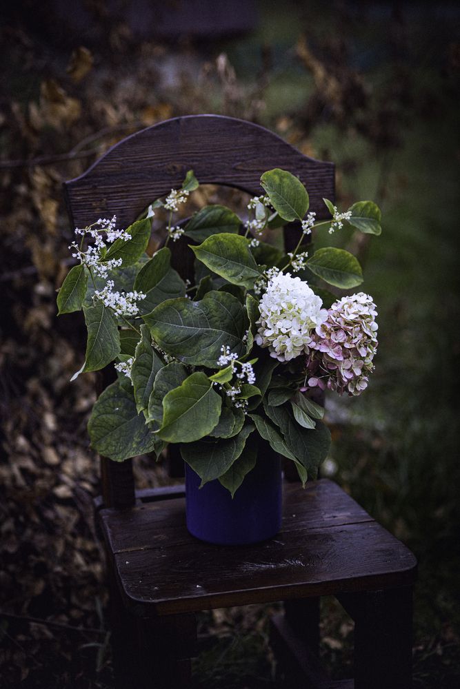Photograph by Оksana Seregina