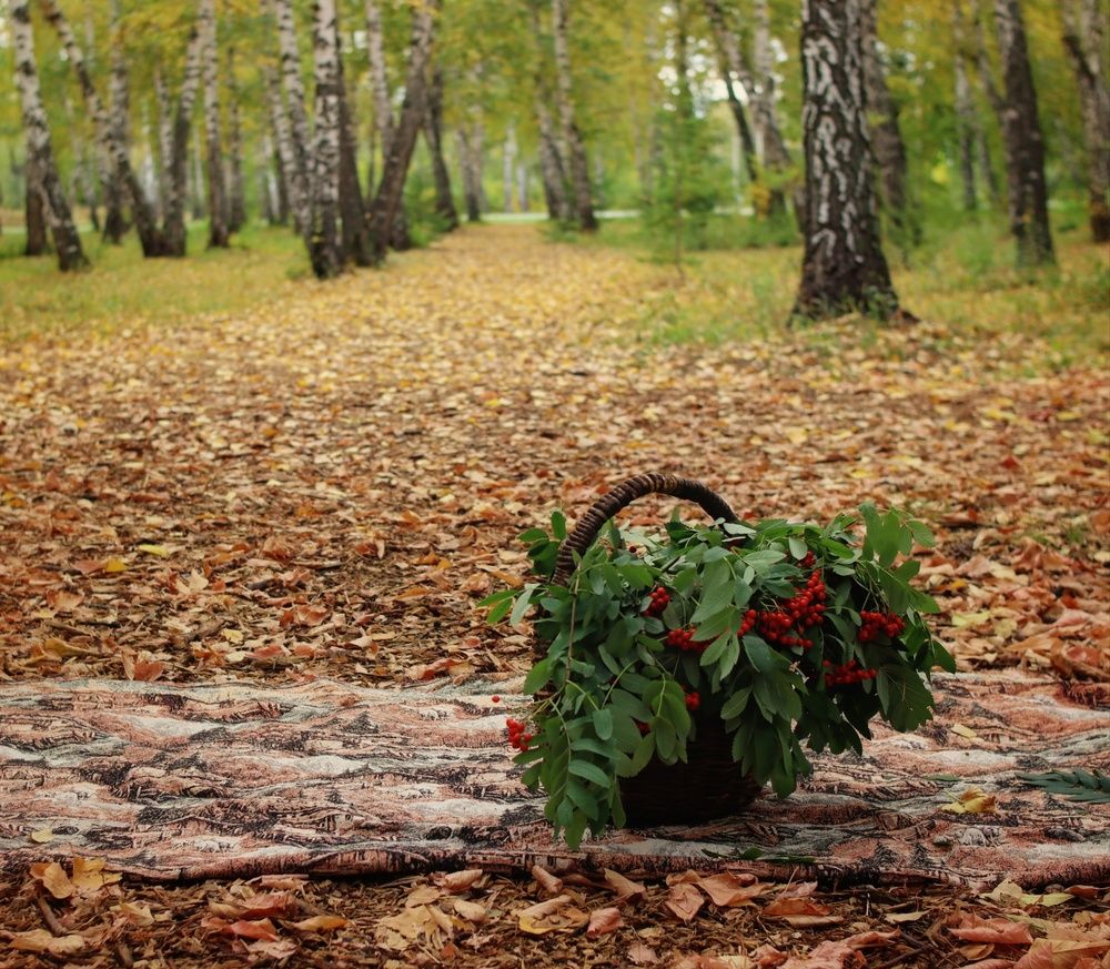 Photograph by Алена Марченко