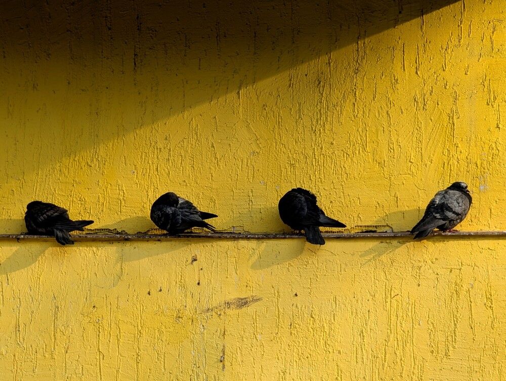 Photograph by Таисия Цветкова