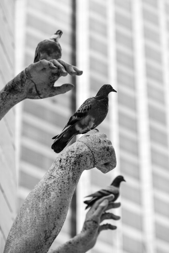 Photograph by zan zibovsky