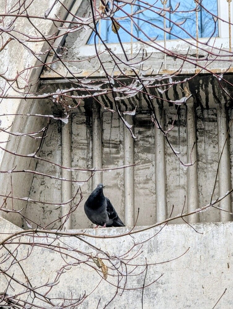 Photograph by Таисия Цветкова