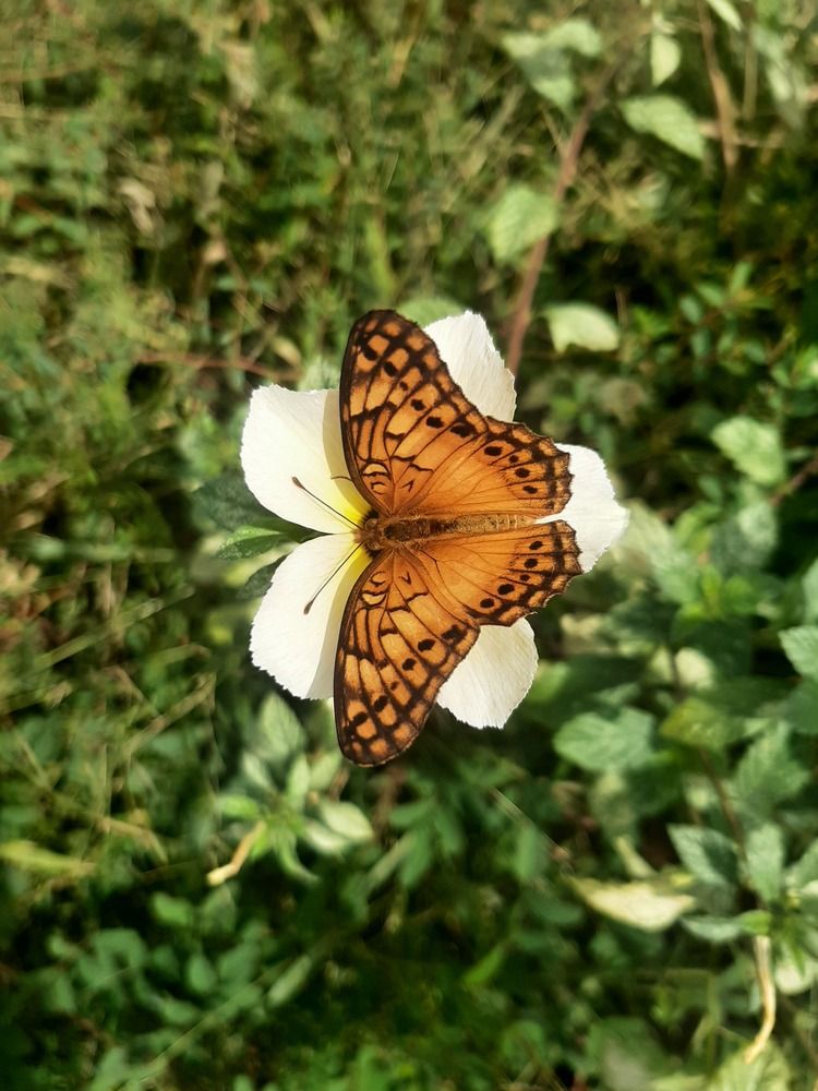 Photograph by João Caridade