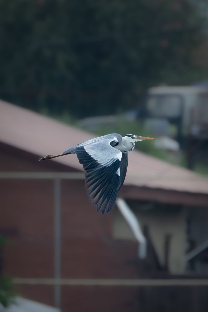 Photograph by Высотских Владимир