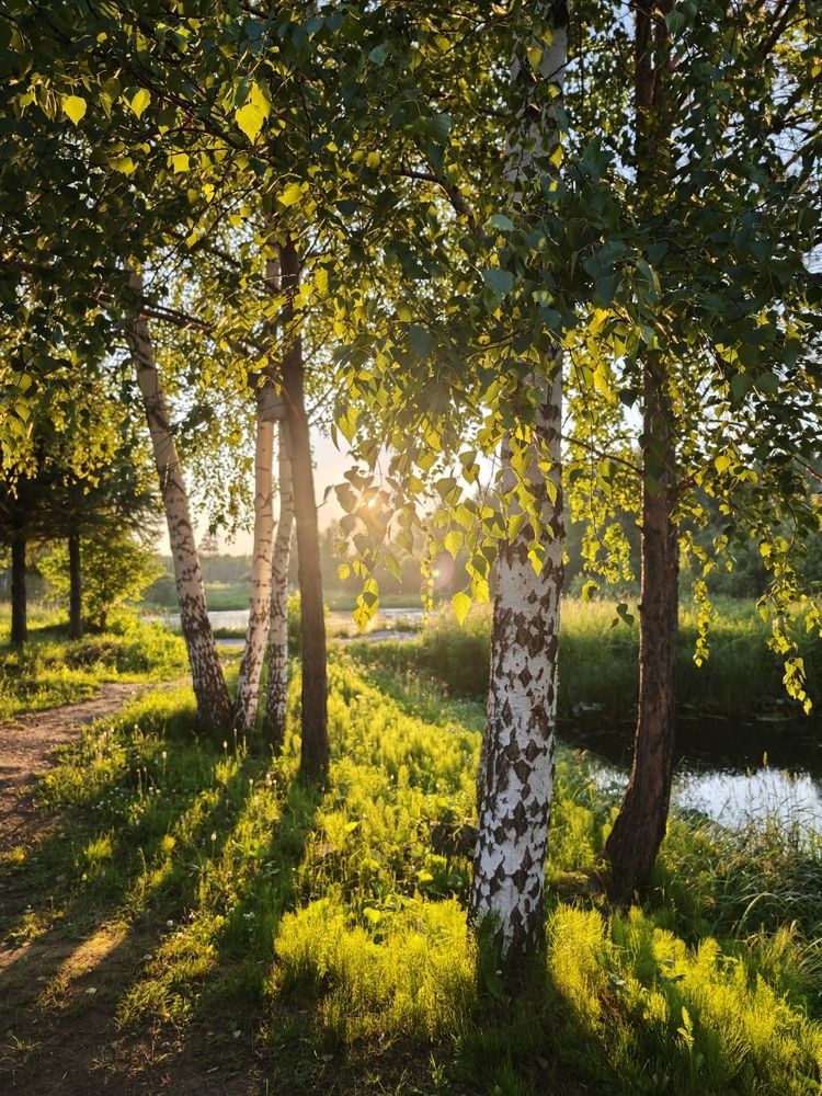 Тишина. Село Балтым