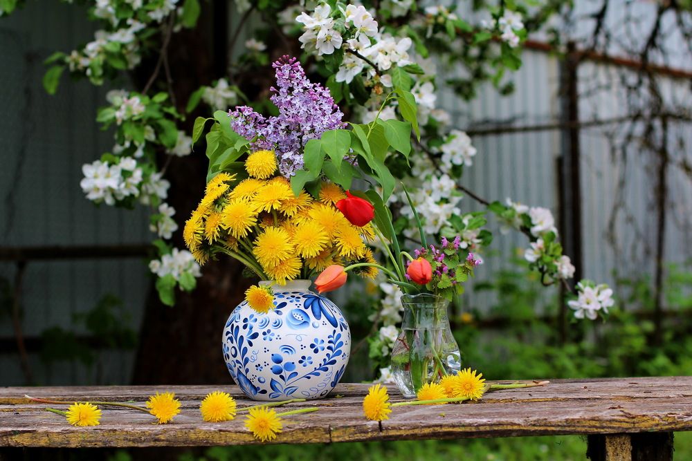 Photograph by Виталий Симоненков