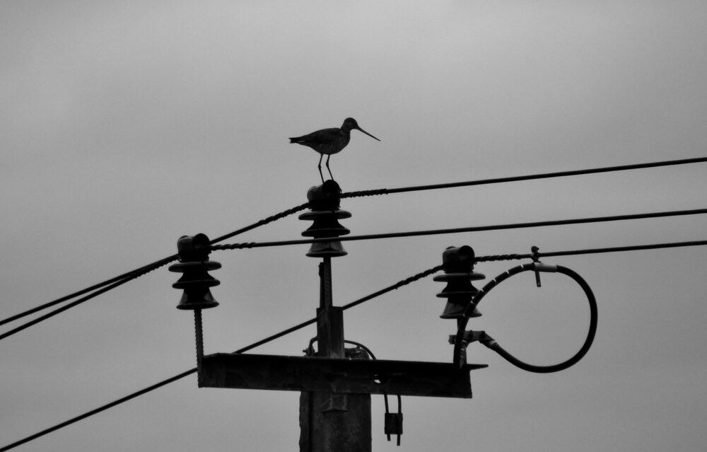 Photograph by Павел Васильев