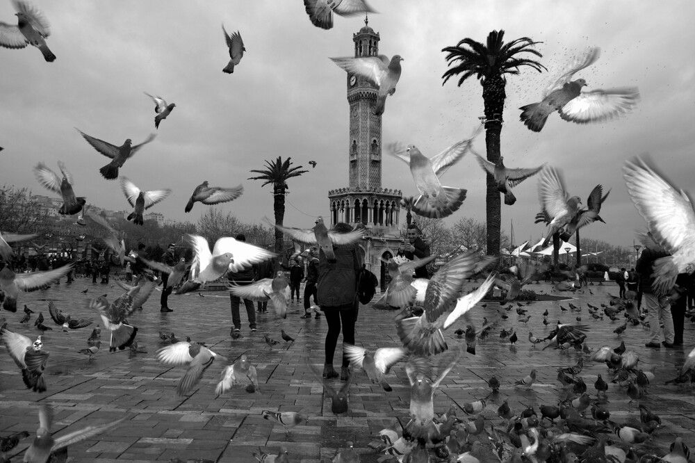 Фотография автора Bekir Büyükgöz