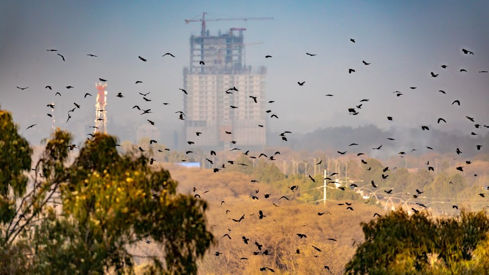 Photograph by Farrukh