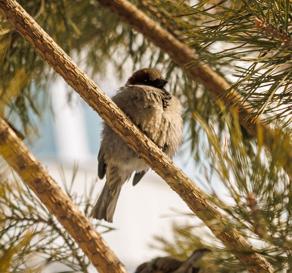 Photograph by Артемий Небоженко