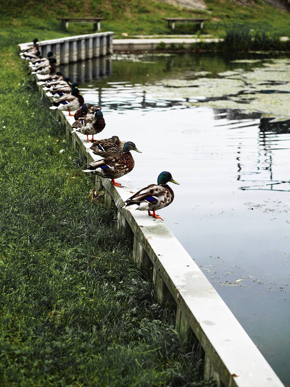 Photo #13726428