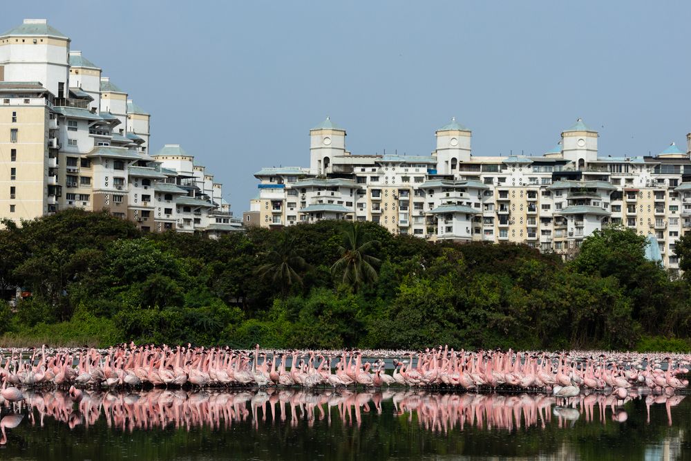 Photograph by nitin jain