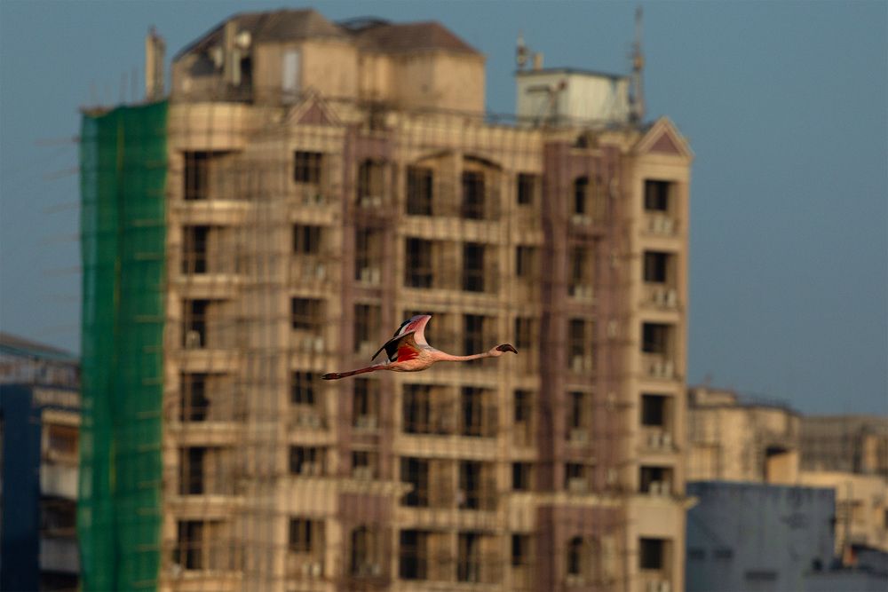 Photograph by nitin jain