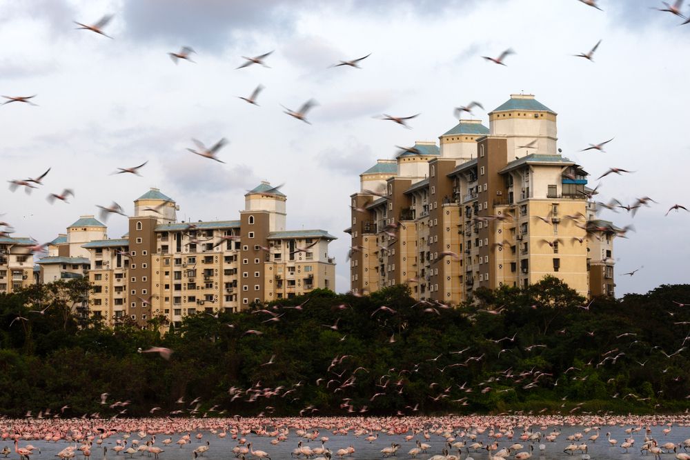 Photograph by nitin jain