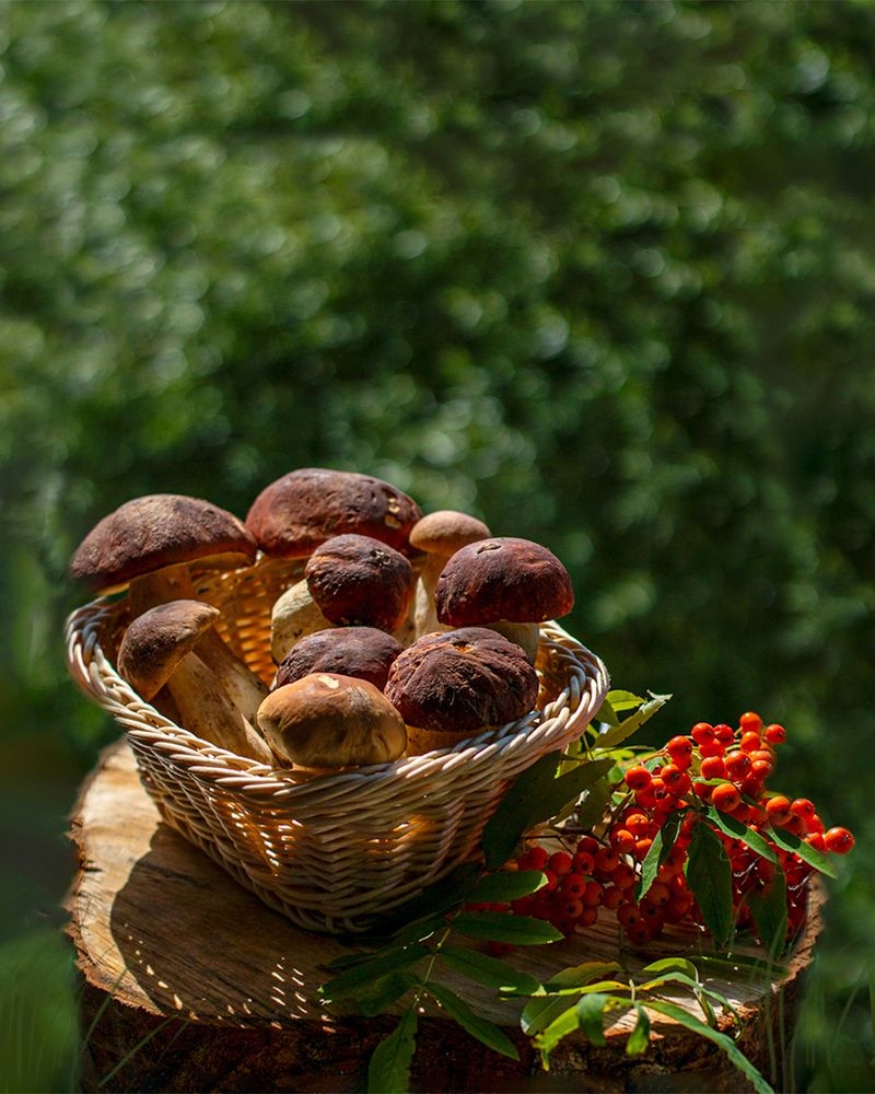 Photograph by Игорь Хрусталёв