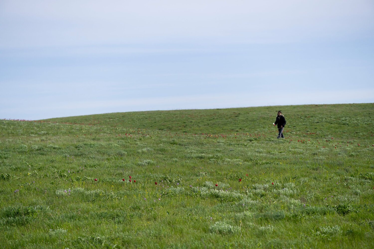 Photo #13726530