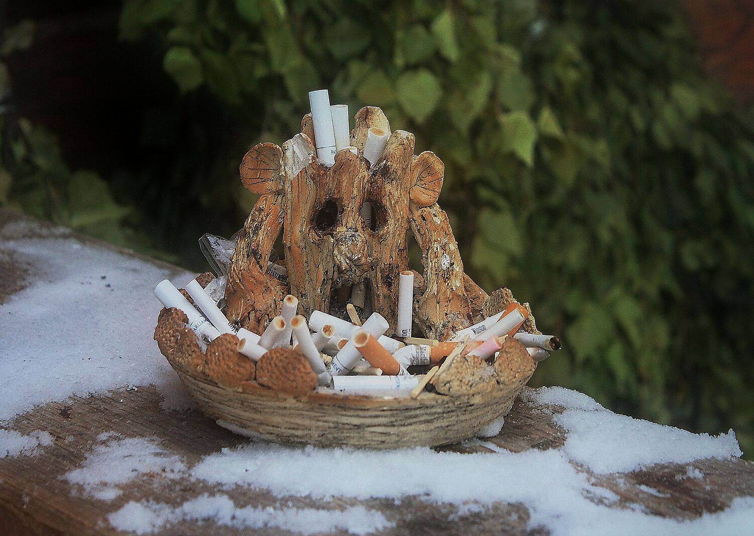 No smoking