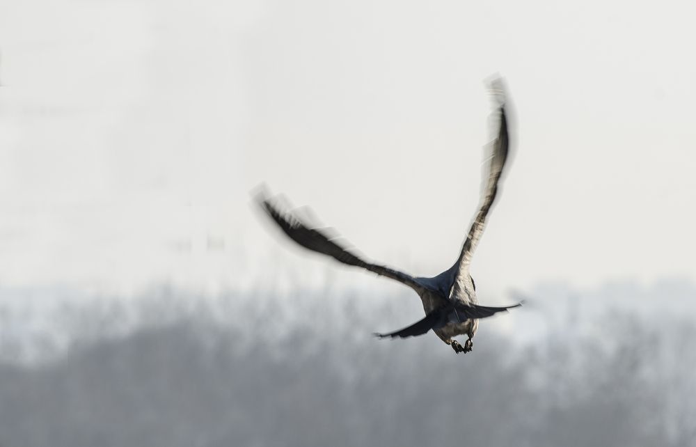 Photograph by Василий Либко