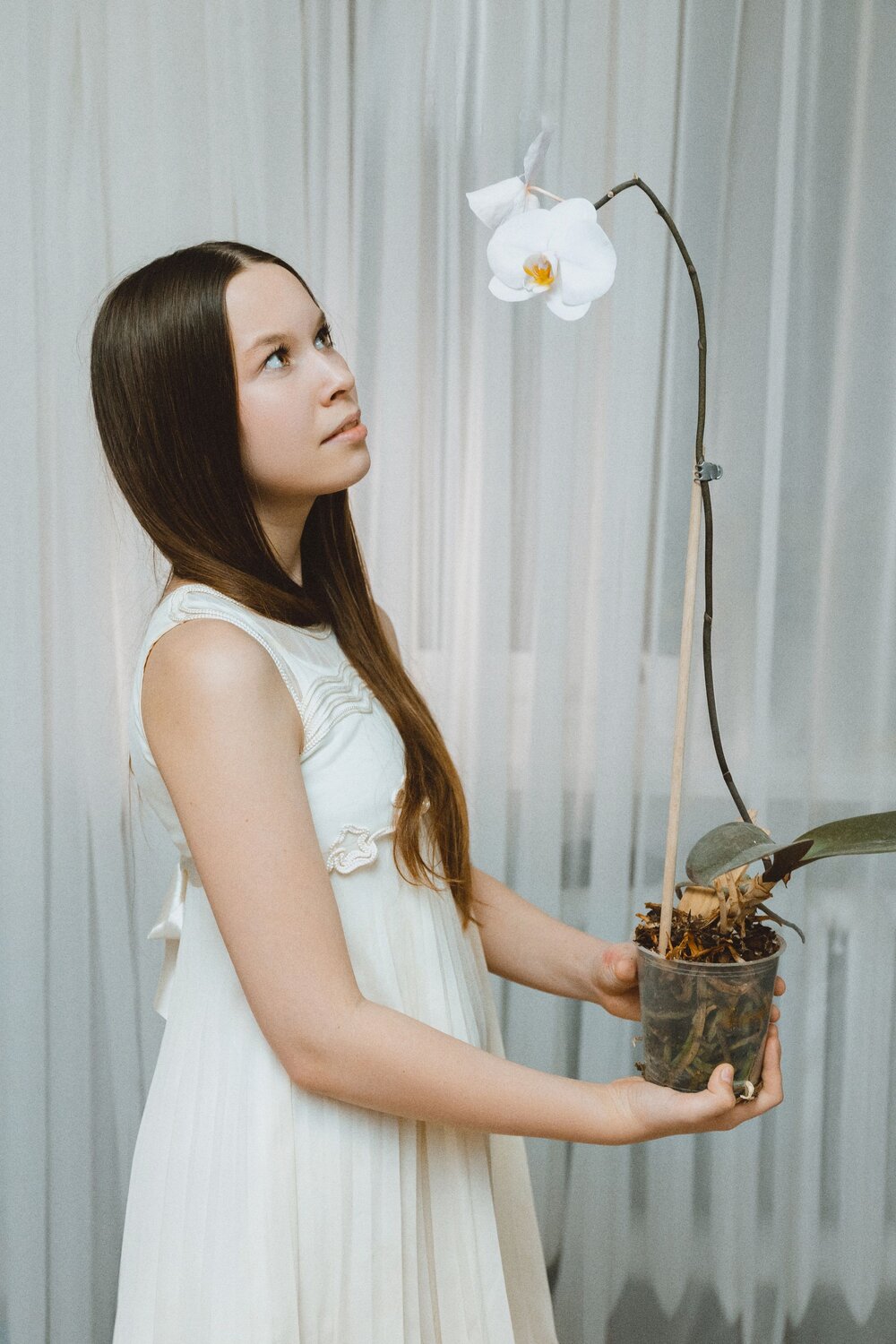 Photo #13726887