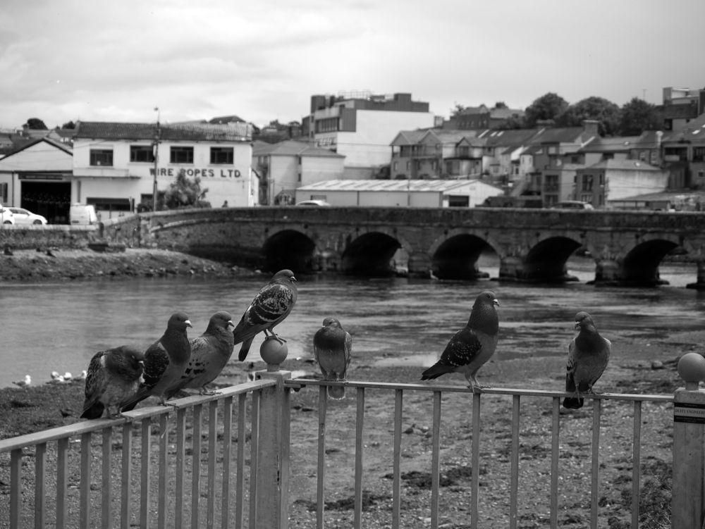 Photograph by Anthony Dickenson