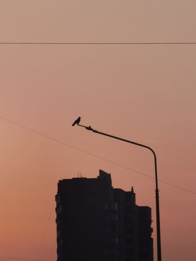 Photograph by Анастасия Апархова