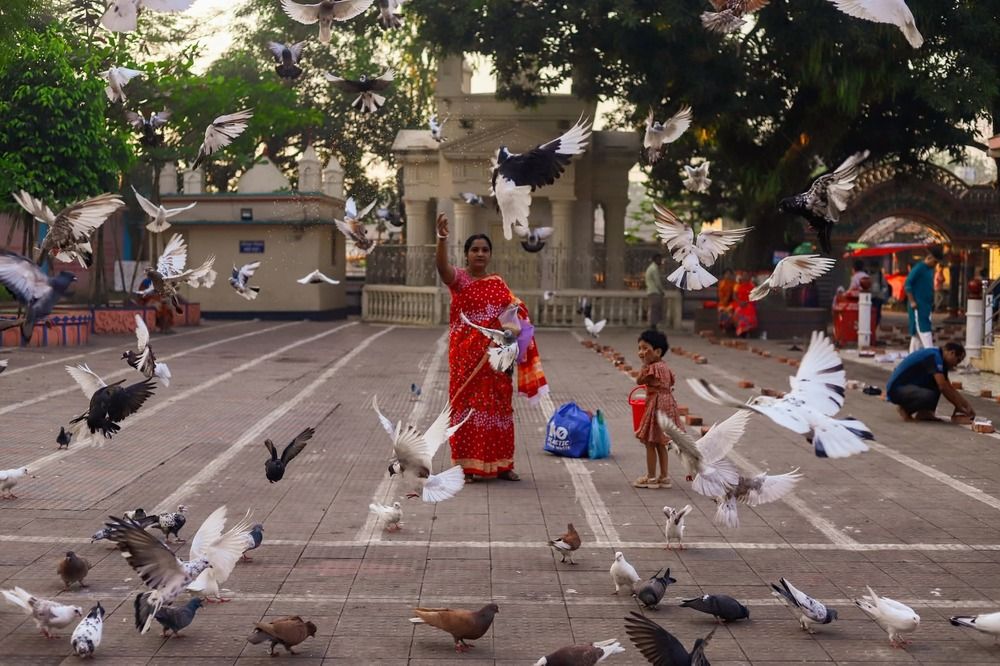 When Wings Take Over the Street