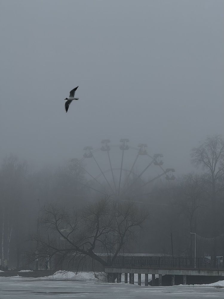 Photograph by Анастасия