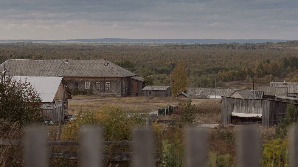 Photograph by Полина Маслова