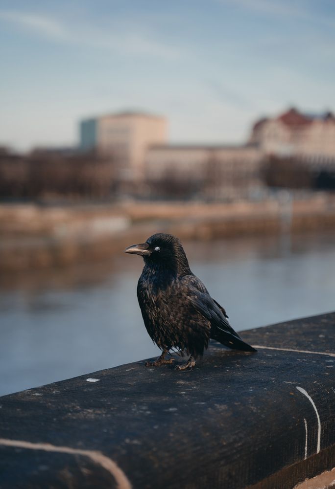 Photograph by Екатерина Карпова