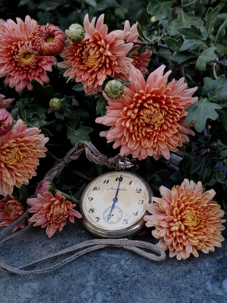 Photograph by Ульяна Кузьмина