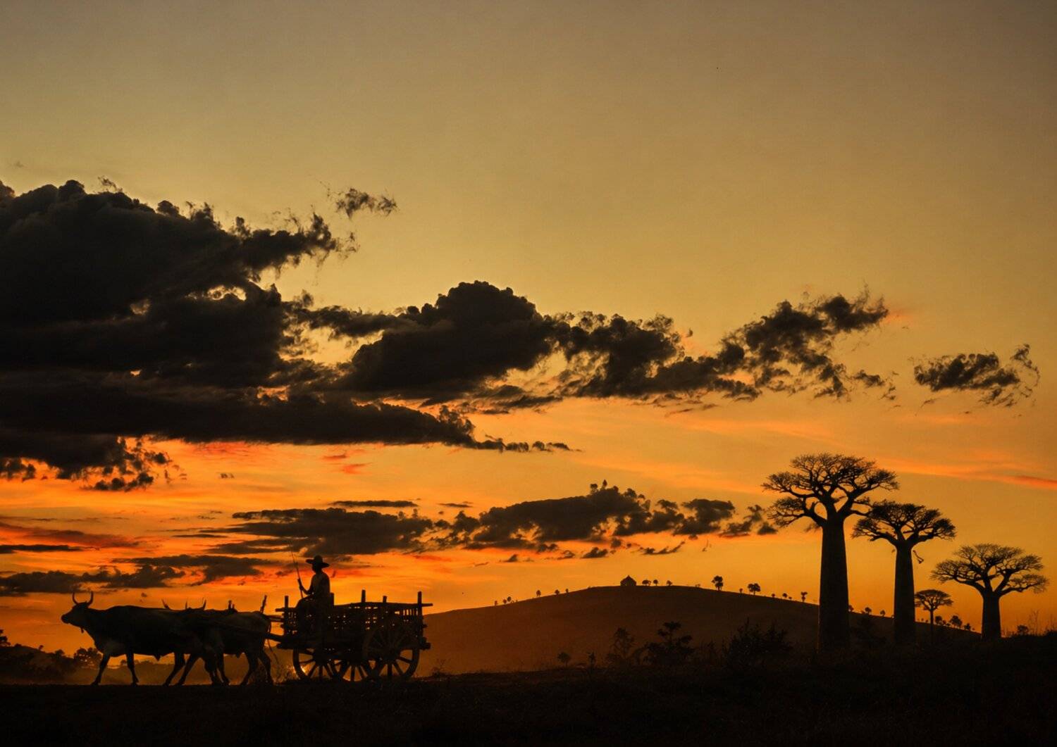 Twilight over the Red Earth or Time Suspended