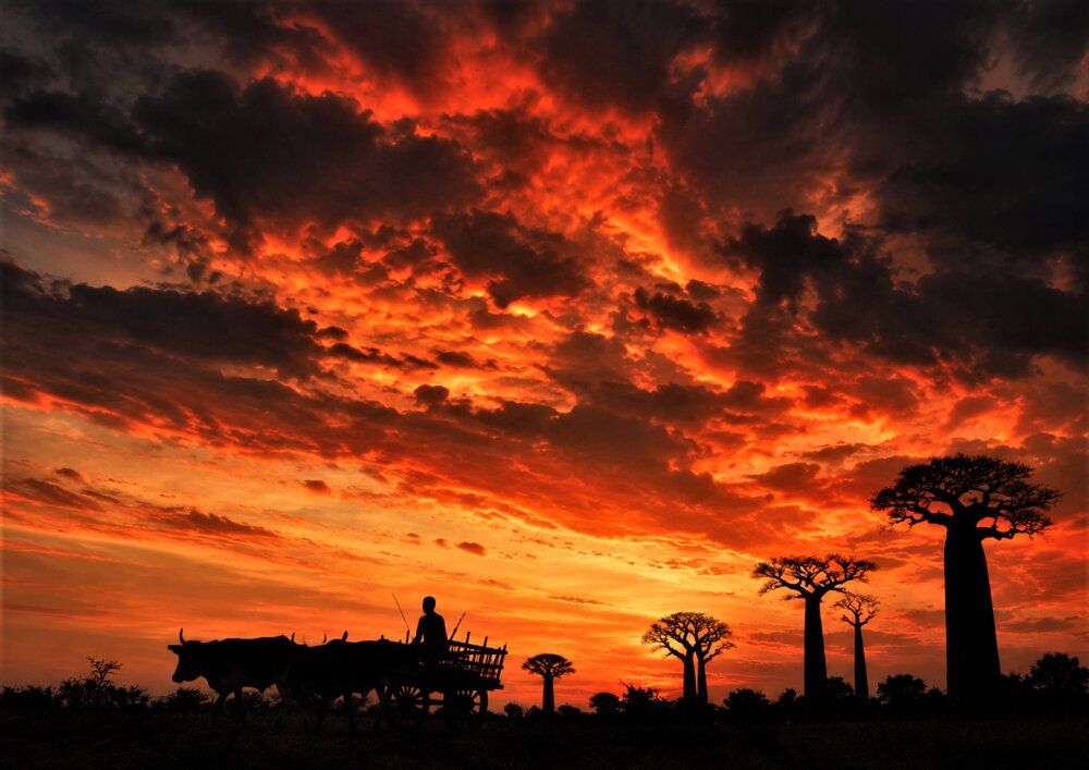 Return Under a Fiery Sky