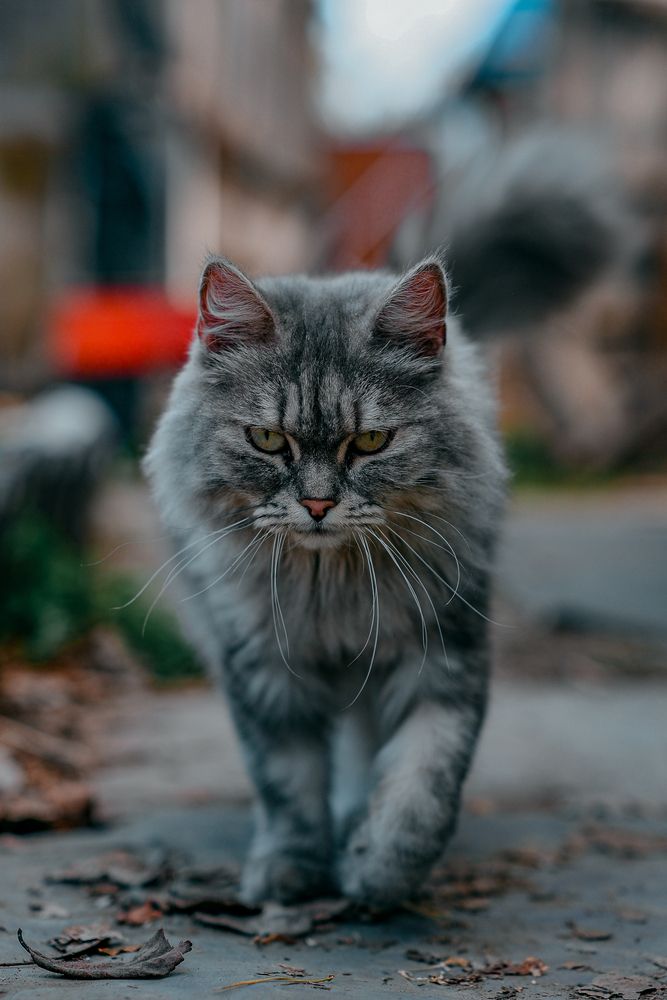 Photograph by Sergey Boiko