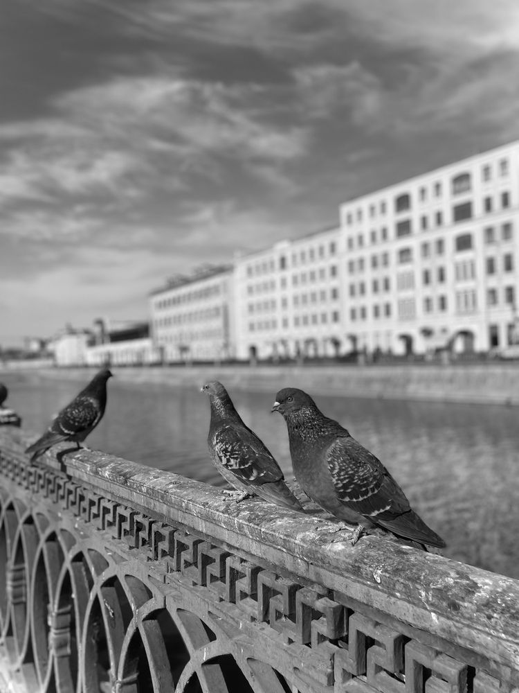 Photograph by Екатерина Сбитякова