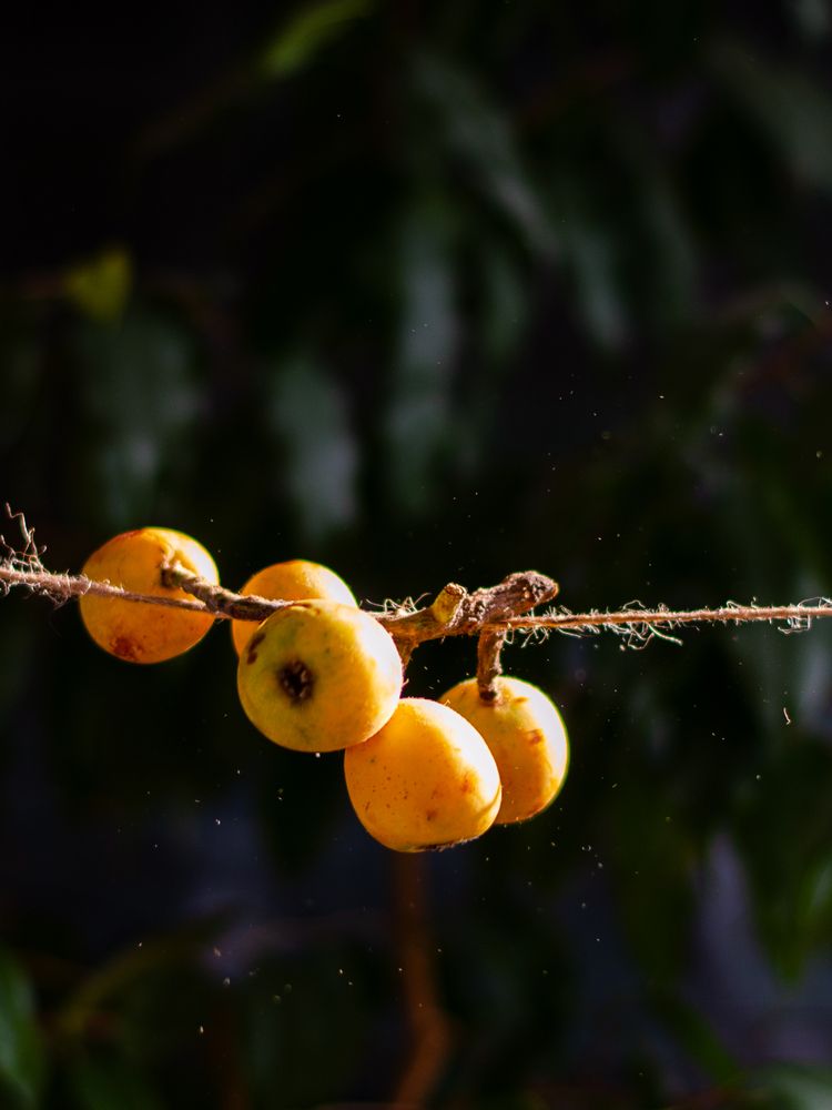 Photograph by Оксана Бевзюк