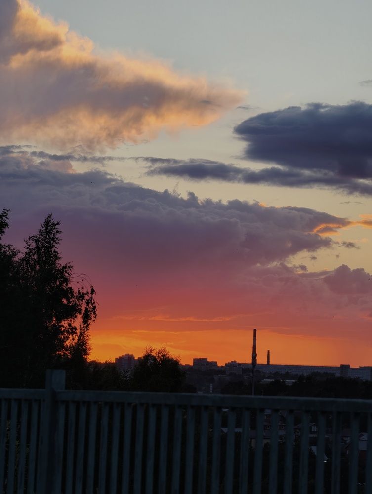 Photo #13727640