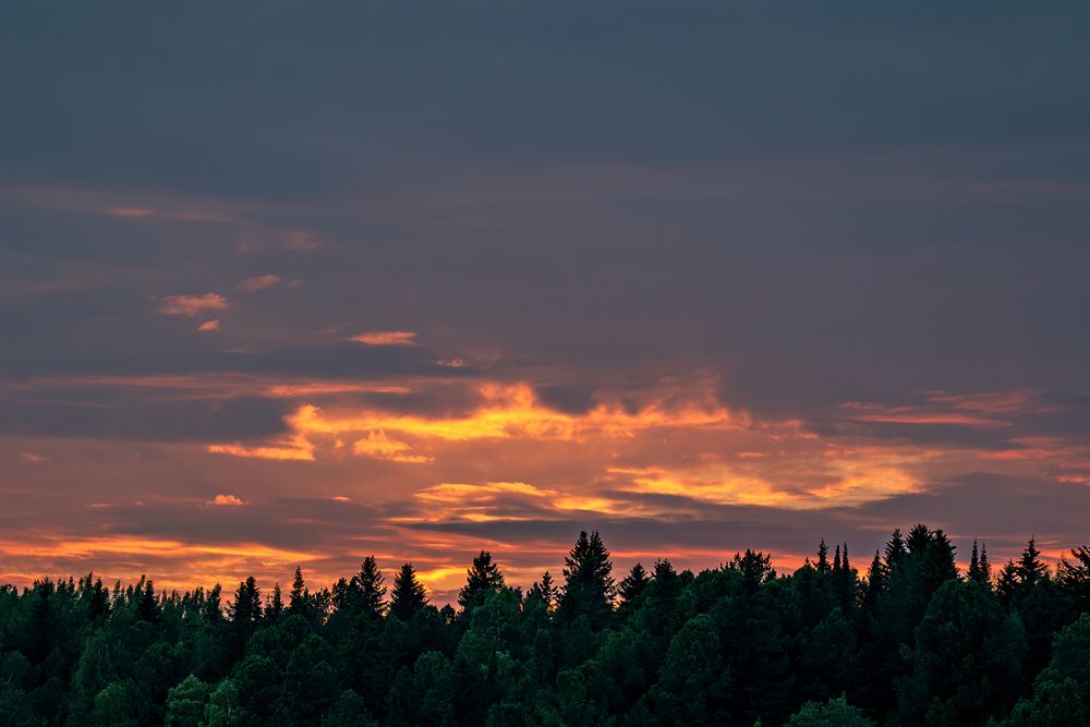 Фотография автора Ольга Адольф