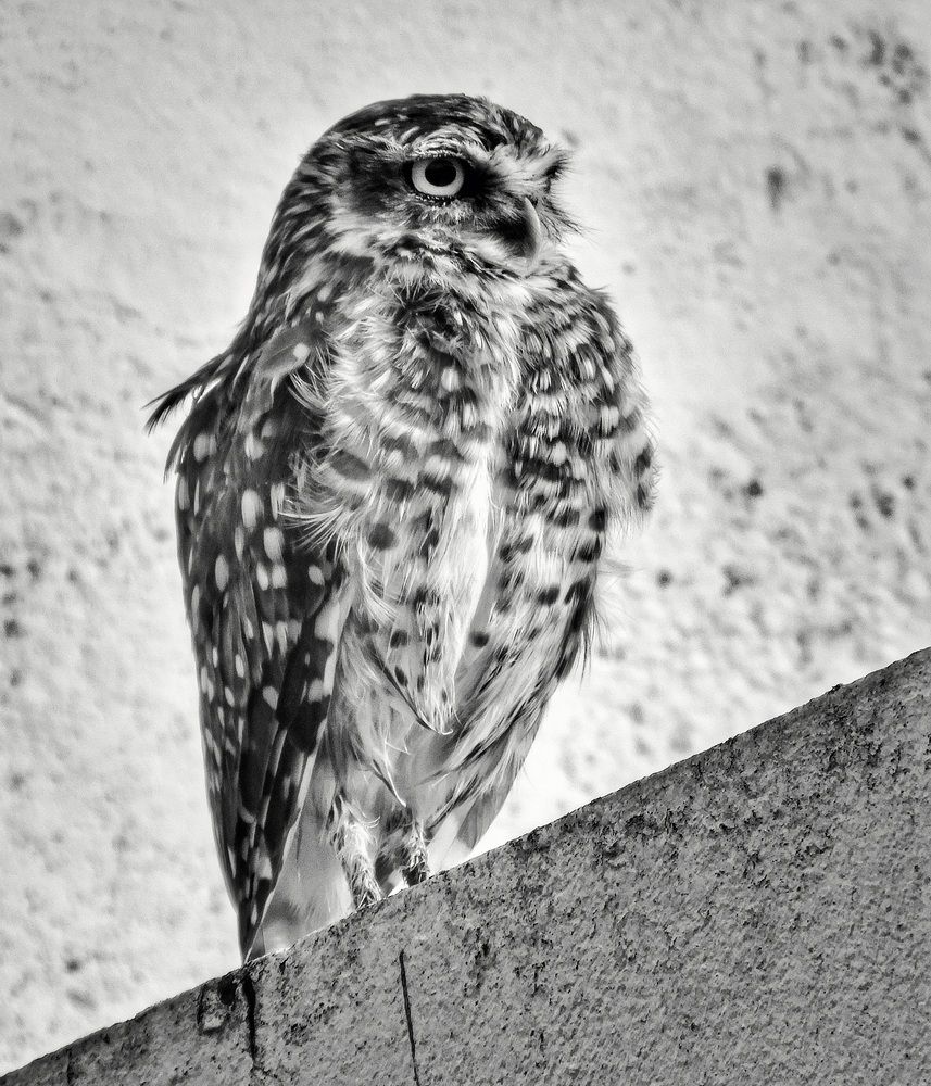 Photograph by Roberto Hagemann