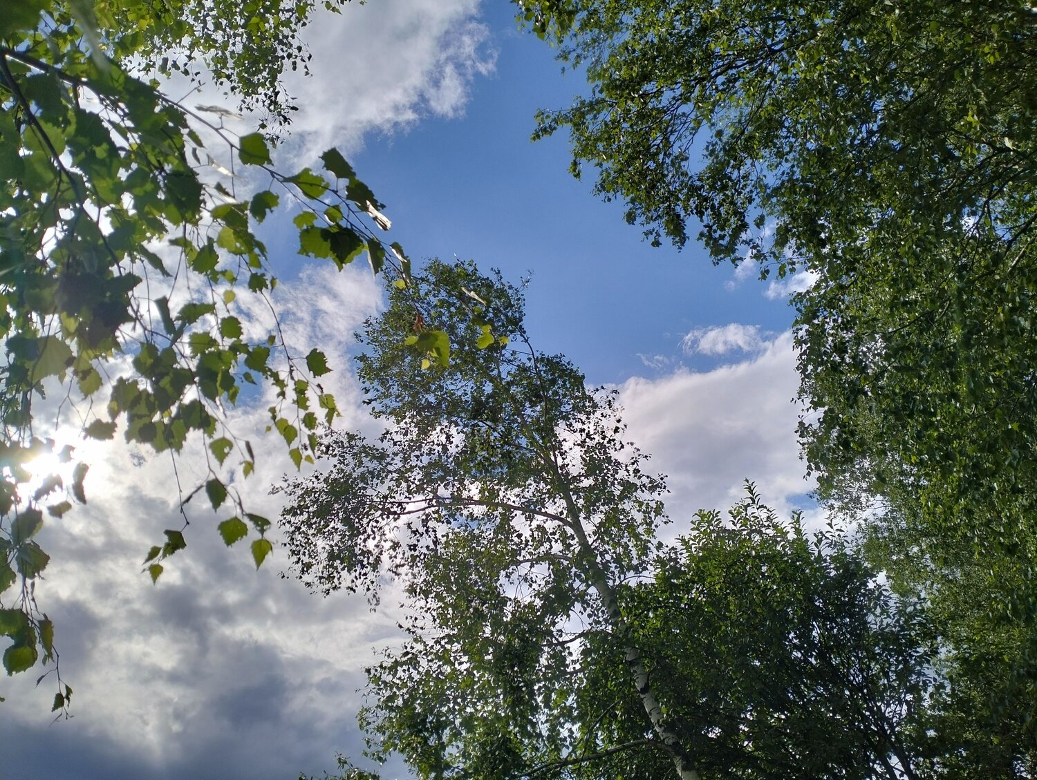 Photo #13727719
