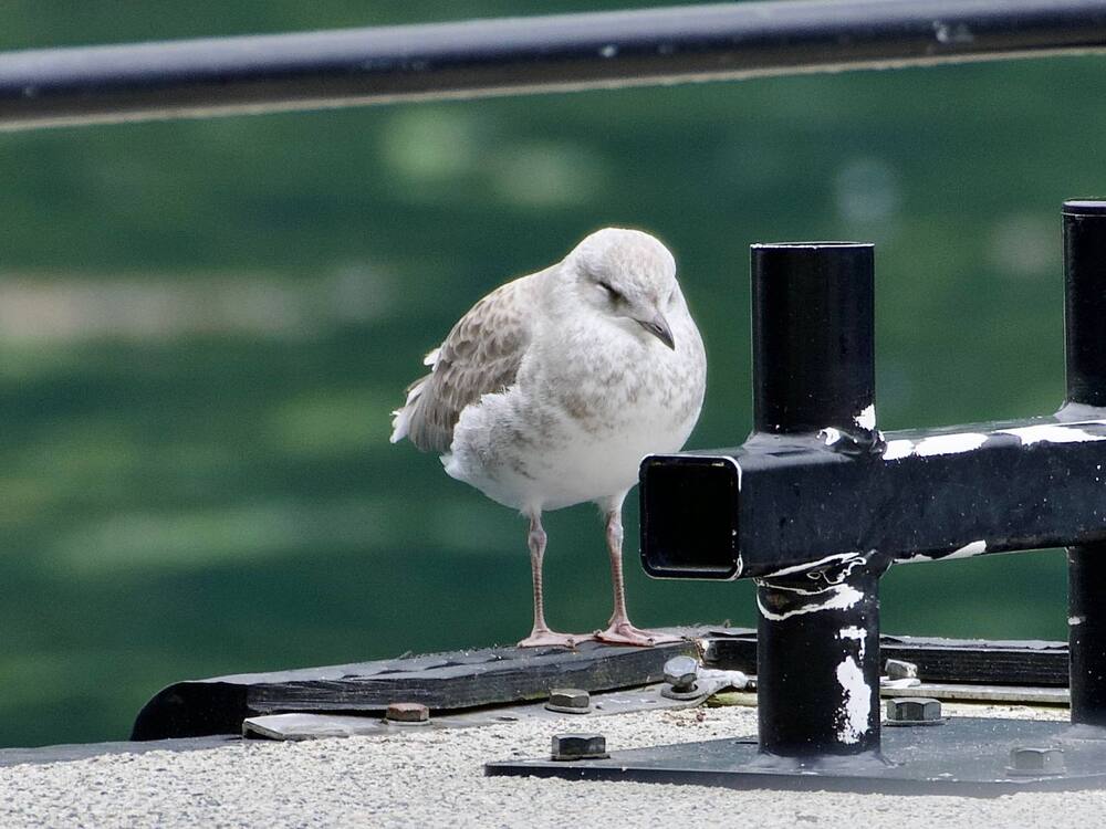Photograph by Николай Кузьмин