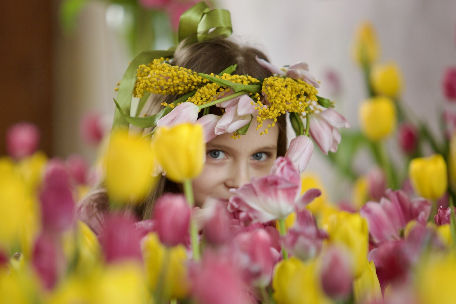 Photo #13727729
