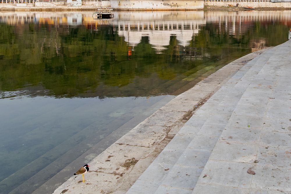 Photograph by Dhananjay Thakur