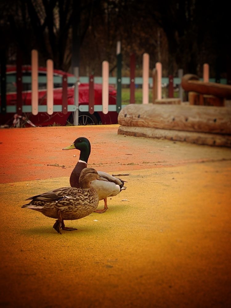 Photograph by Tatiana Kovaleva