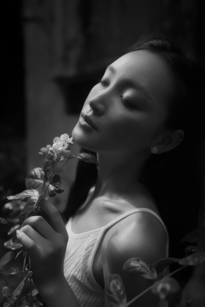 Photograph by Tung Vu Thanh