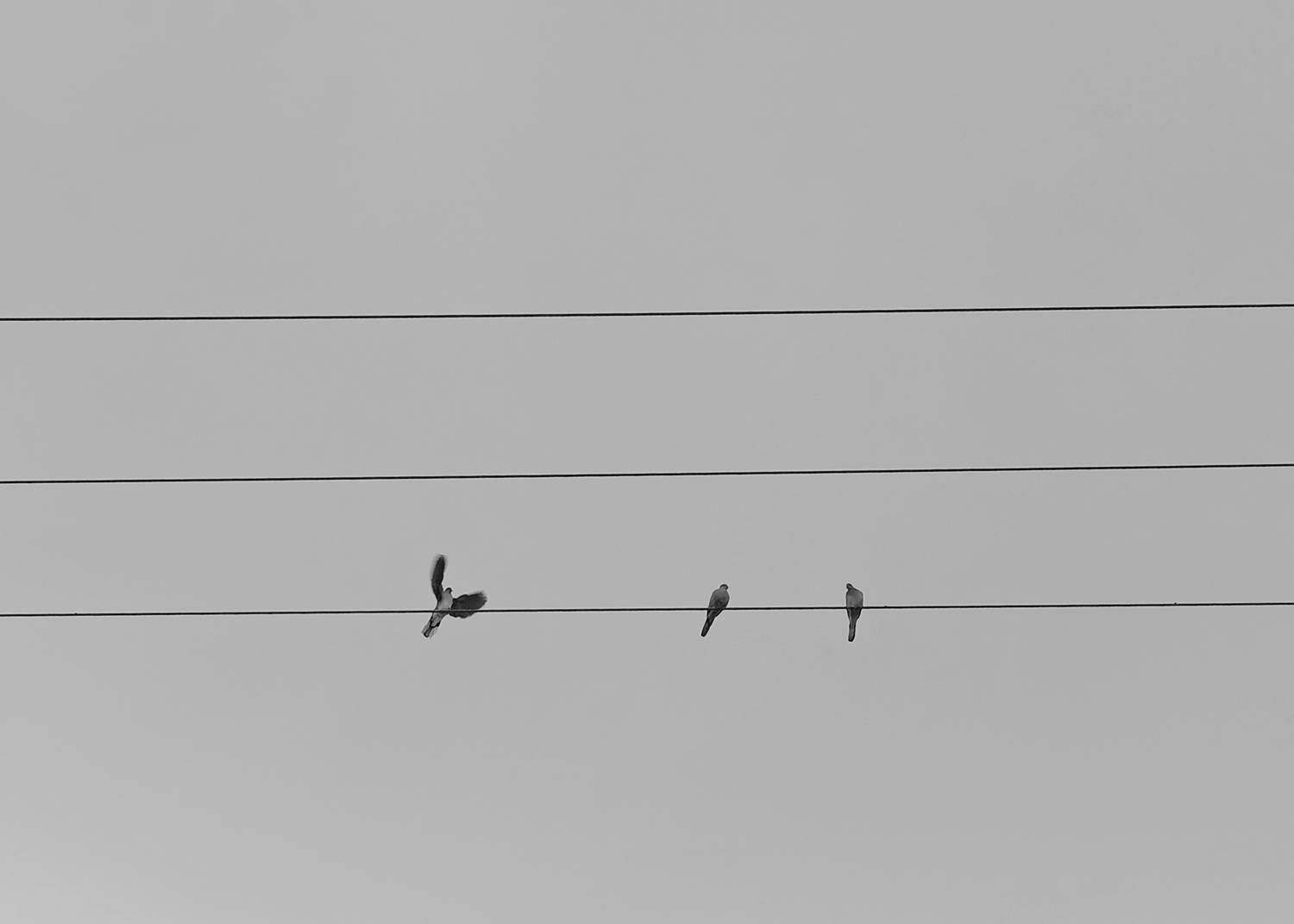 Photo #13727940
