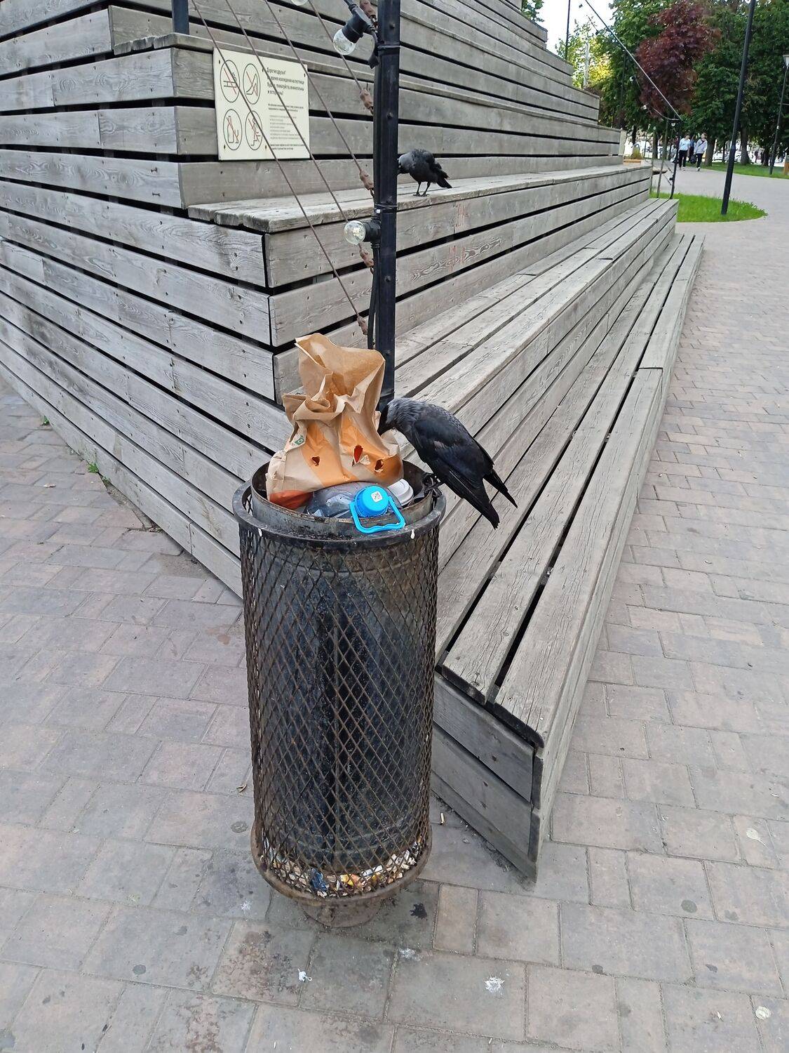 Photo #13728021