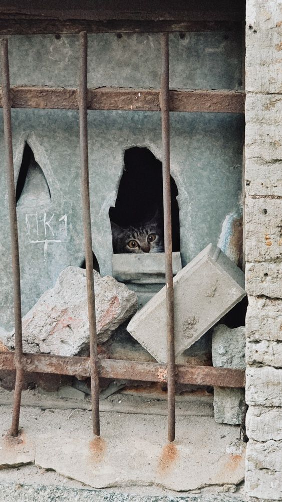 Photograph by Элина Нерсесова